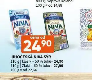 Terno Jihočeská niva sýr 60% nabídka