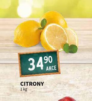 Terno Citrony nabídka