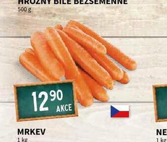 Terno Mrkev nabídka
