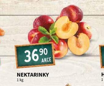 Terno Nektarinky nabídka