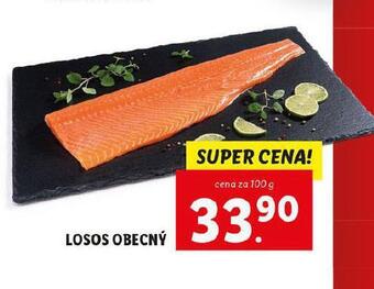 Losos obecný