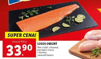 Lidl Losos obecný nabídka