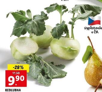 Lidl Kedlubna nabídka