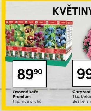 Ovocné keře premium