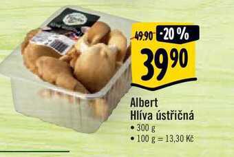 Albert Albert hlíva ústřičná 300 g nabídka