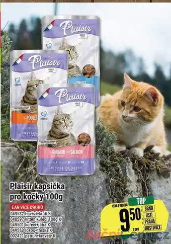 Tamda Foods Plaisir kapsička pro kočky 100g nabídka