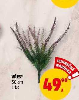 Penny Market Vřes, 1 ks nabídka
