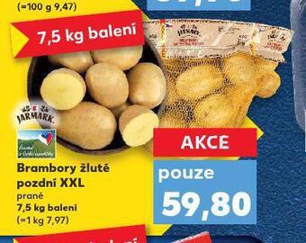Brambory žluté pozdní xxl