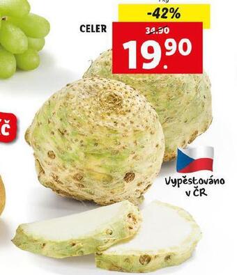 Lidl Celer nabídka