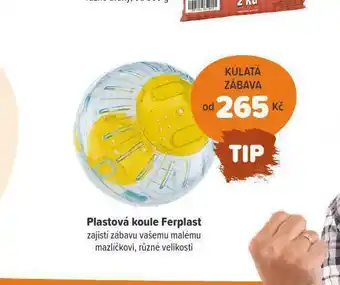 Plastová koule ferplast