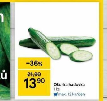 Tesco Okurka hadovka nabídka