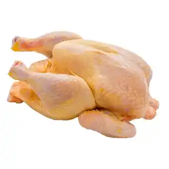 Žabčický kohout celý bez drobů