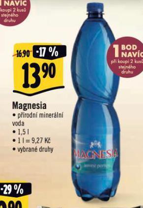 Albert Magnesia nabídka