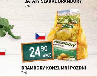 Terno Brambory konzumní pozdní nabídka