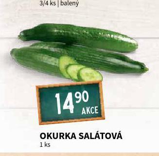 Terno Okurka salátová nabídka