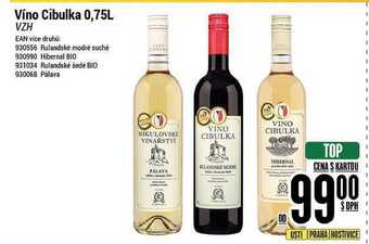 Tamda Foods Víno cibulka 0,75l nabídka