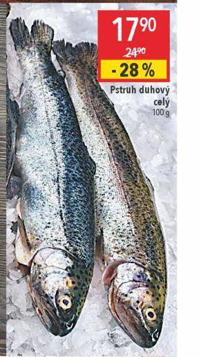 Globus Pstruh duhový celý nabídka
