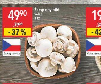 Globus Žampiony bílé nabídka