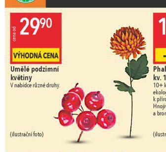 Globus Umělé podzimní květiny nabídka