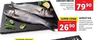 Lidl Mořský vlk nabídka