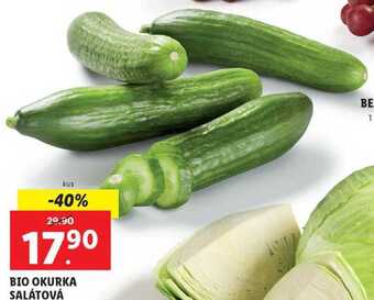 Lidl Bio okurka salátová, 1 ks nabídka