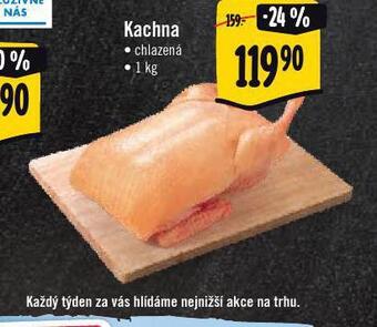 Jip Kachna nabídka