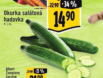 Jip Okurka salátová hadovka nabídka