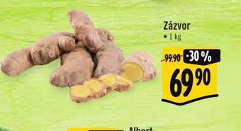 Jip Zázvor nabídka