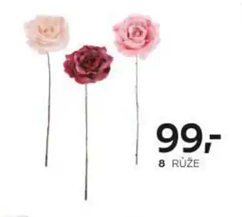 Růže