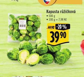 Albert Kapusta růžičková nabídka