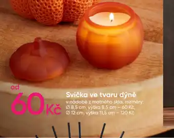 Svíčka ve tvaru dýně v nádobě z matného skla