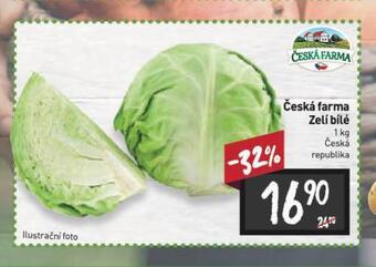 Billa Zelí bílé nabídka