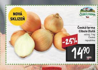 Billa Cibule žlutá nabídka