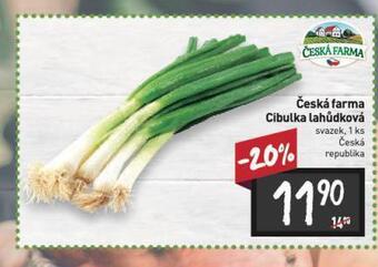 Billa Cibulka lahůdková nabídka