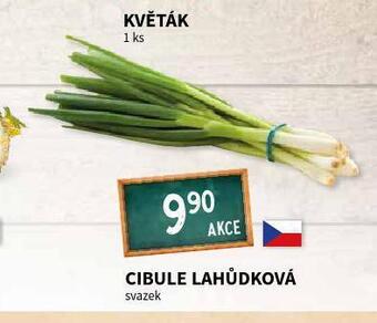 Terno Cibule lahůdková nabídka