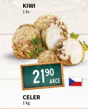 Terno Celer nabídka