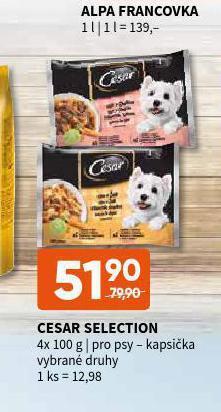 Terno Cesar selection kapsičky pro psy nabídka