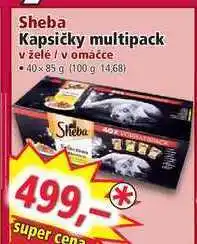 Norma Sheba kapsičky multipack v želé / v omáčce 40x 85 g nabídka