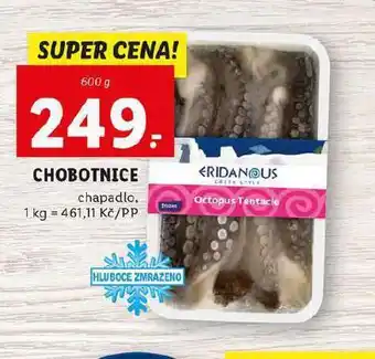 Lidl Chobotnice nabídka