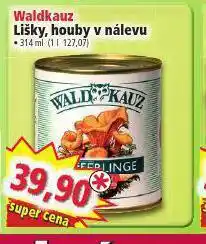 Waldkauz lišky, houby v nálevu
