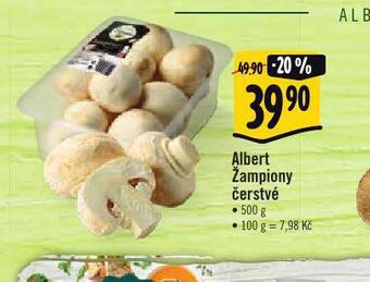 Albert Žampiony čerstvé nabídka