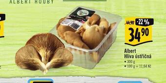 Albert Hlíva ústřičná nabídka