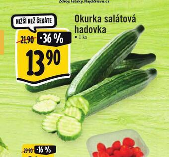 Albert Okurka salátová hadovka nabídka