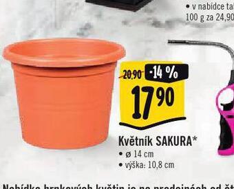 Květník sakura