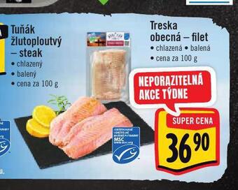 Jip Treska obecná nabídka