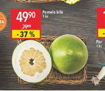 Globus Pomelo nabídka