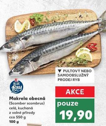Kaufland Makrela obecná nabídka
