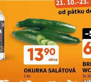 Terno Okurka salátová nabídka