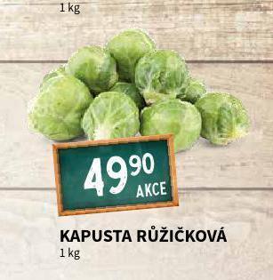 Terno Kapusta růžičková nabídka