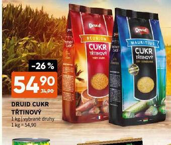 Terno Druid cukr třtinový nabídka
